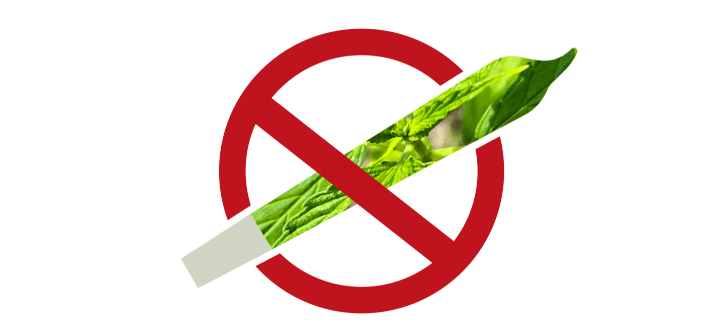 Rauchfreie Hotel Pension Wendland in Wintrich – Hausordnung für Gäste